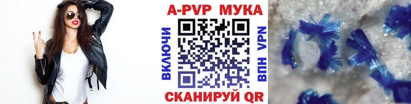 APVP СК  Ярославль 