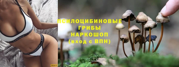 2c-b Белоозёрский