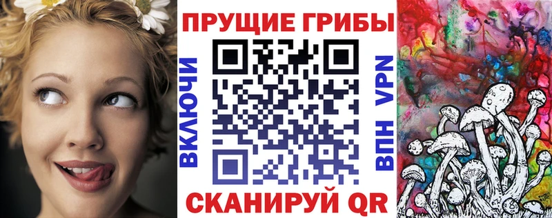 Псилоцибиновые грибы GOLDEN TEACHER  darknet состав  Ярославль 