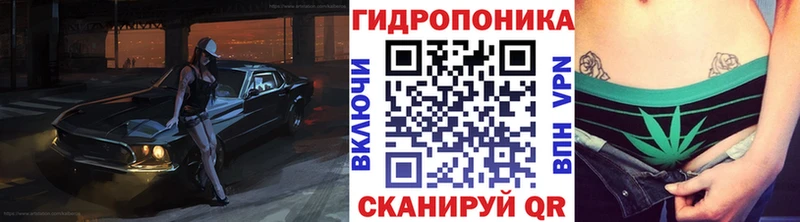 hydra зеркало  Ярославль  Бошки марихуана AK-47  где купить наркоту 